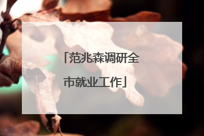 范兆森调研全市就业工作
