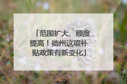 范围扩大、额度提高！德州这项补贴政策有新变化