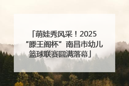 萌娃秀风采！2025“滕王阁杯”南昌市幼儿篮球联赛圆满落幕