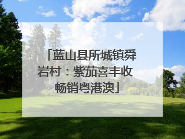 蓝山县所城镇舜岩村：紫茄喜丰收 畅销粤港澳