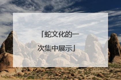 蛇文化的一次集中展示