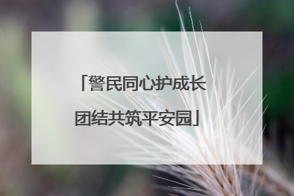 警民同心护成长 团结共筑平安园