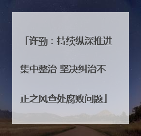 许勤：持续纵深推进集中整治 坚决纠治不正之风查处腐败问题