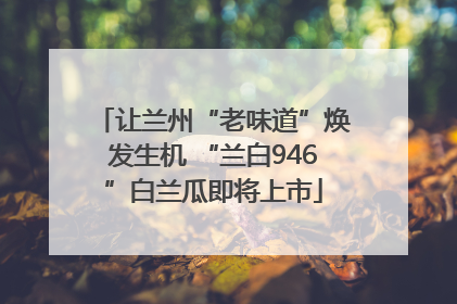 让兰州“老味道”焕发生机 “兰白946”白兰瓜即将上市