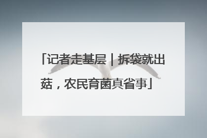 记者走基层｜拆袋就出菇，农民育菌真省事
