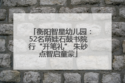 衡阳智星幼儿园：52名萌娃石鼓书院行“开笔礼” 朱砂点智启童蒙