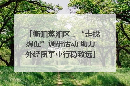 衡阳蒸湘区：“走找想促”调研活动 助力外经贸事业行稳致远