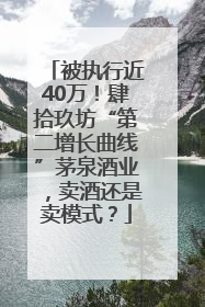 被执行近40万！肆拾玖坊“第二增长曲线”茅泉酒业，卖酒还是卖模式？
