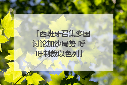 西班牙召集多国讨论加沙局势 呼吁制裁以色列