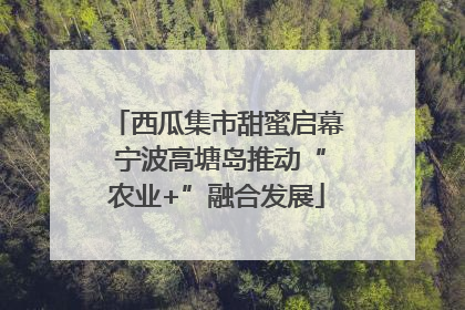 西瓜集市甜蜜启幕 宁波高塘岛推动“农业+”融合发展