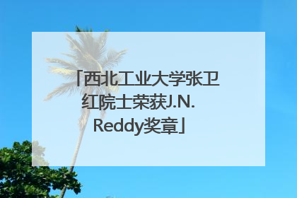 西北工业大学张卫红院士荣获J.N.Reddy奖章