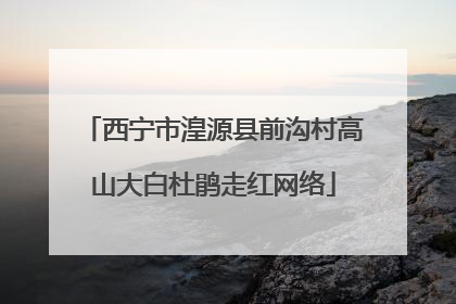 西宁市湟源县前沟村高山大白杜鹃走红网络