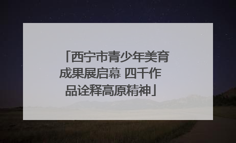 西宁市青少年美育成果展启幕 四千作品诠释高原精神