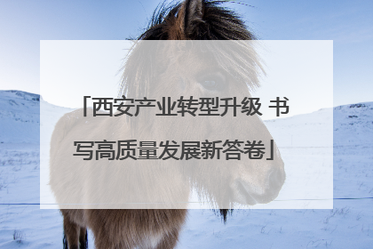 西安产业转型升级 书写高质量发展新答卷