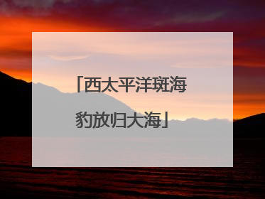 西太平洋斑海豹放归大海