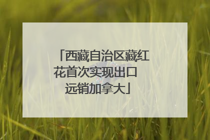 西藏自治区藏红花首次实现出口 远销加拿大