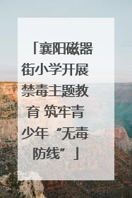 襄阳磁器街小学开展禁毒主题教育 筑牢青少年“无毒防线”