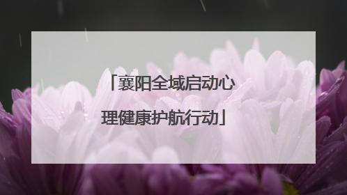 襄阳全域启动心理健康护航行动