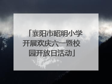 襄阳市昭明小学开展欢庆六一暨校园开放日活动