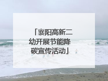 襄阳高新二幼开展节能降碳宣传活动