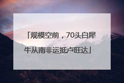 规模空前，70头白犀牛从南非运抵卢旺达