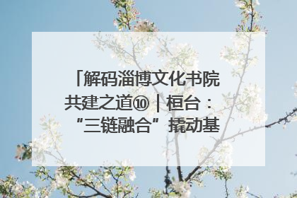 解码淄博文化书院共建之道⑩｜桓台：“三链融合”撬动基层文化共治新动能
