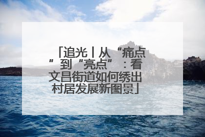 追光丨从“痛点”到“亮点”：看文昌街道如何绣出村居发展新图景