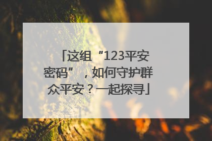 这组“123平安密码”，如何守护群众平安？一起探寻