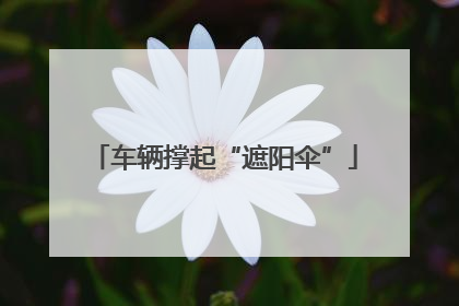 车辆撑起“遮阳伞”