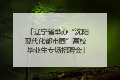 辽宁省举办“沈阳现代化都市圈”高校毕业生专场招聘会