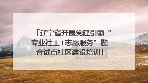 辽宁省开展党建引领“专业社工+志愿服务”融合试点社区建设培训