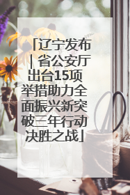 辽宁发布｜省公安厅出台15项举措助力全面振兴新突破三年行动决胜之战