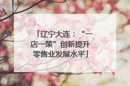 辽宁大连：“一店一策”创新提升零售业发展水平