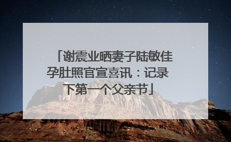 谢震业晒妻子陆敏佳孕肚照官宣喜讯：记录下第一个父亲节