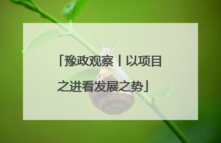 豫政观察丨以项目之进看发展之势