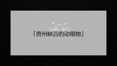 贵州峡谷的动植物