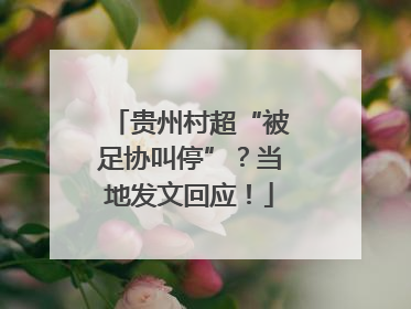 贵州村超“被足协叫停”？当地发文回应！