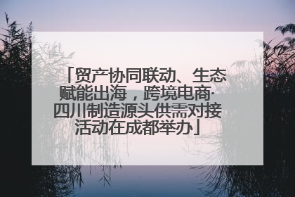 贸产协同联动、生态赋能出海，跨境电商·四川制造源头供需对接活动在成都举办