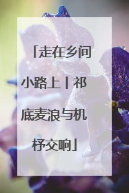 走在乡间小路上丨祁底麦浪与机杼交响
