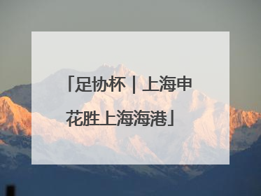 足协杯｜上海申花胜上海海港