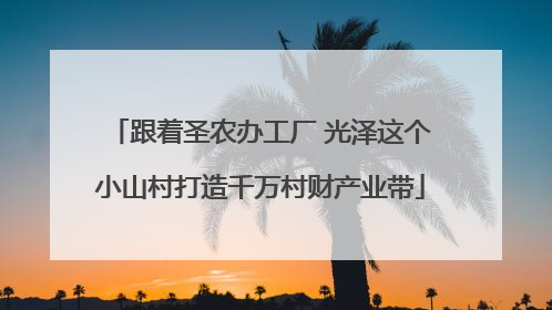 跟着圣农办工厂 光泽这个小山村打造千万村财产业带