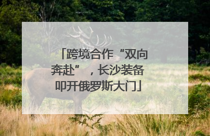 跨境合作“双向奔赴”，长沙装备叩开俄罗斯大门