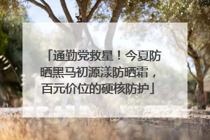 通勤党救星！今夏防晒黑马初源漾防晒霜，百元价位的硬核防护