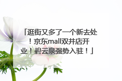 逛街又多了一个新去处！京东mall双井店开业！碧云泉强势入驻！
