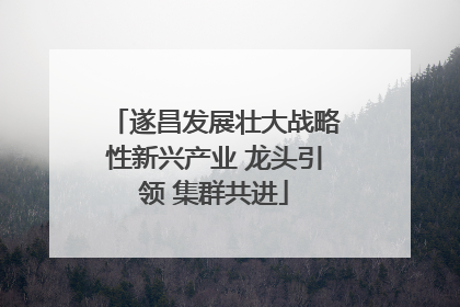 遂昌发展壮大战略性新兴产业 龙头引领 集群共进
