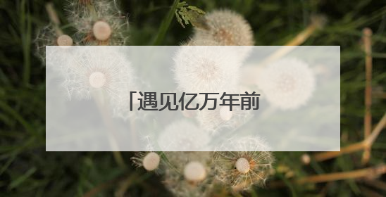 遇见亿万年前的生命印记