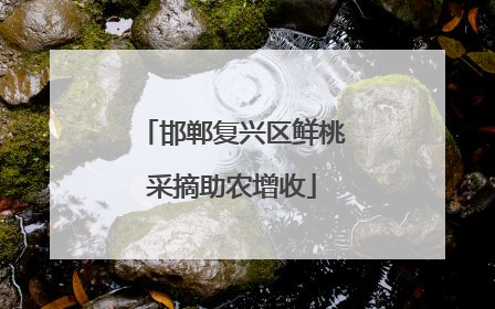 邯郸复兴区鲜桃采摘助农增收