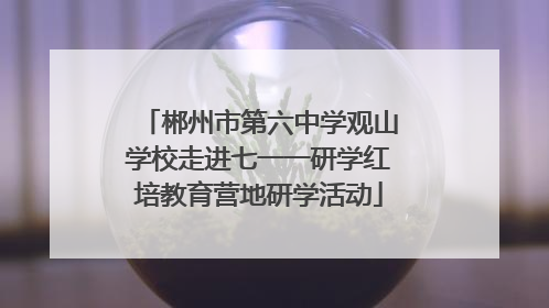 郴州市第六中学观山学校走进七一一研学红培教育营地研学活动