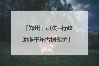 郑州：司法+行政助推千年古树保护