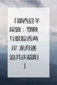 郧西县羊尾镇:鄂陕互联粽香两岸 龙舟逐浪共庆端阳